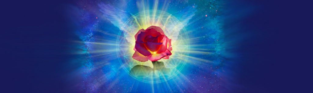 banner top