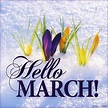 hello march 2